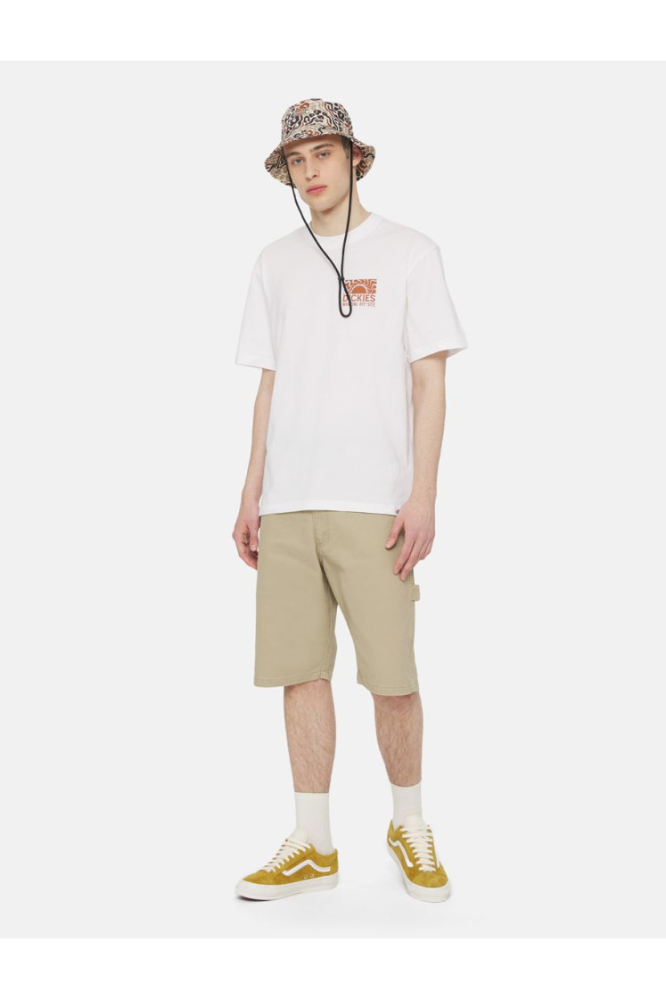 Calções Dickies Duck Canvas