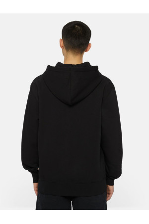 Casaco Dickies Summerdale