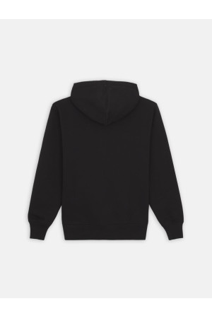 Casaco Dickies Summerdale