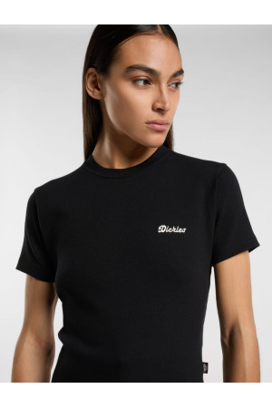 T-Shirt Dickies Lewistown Embro