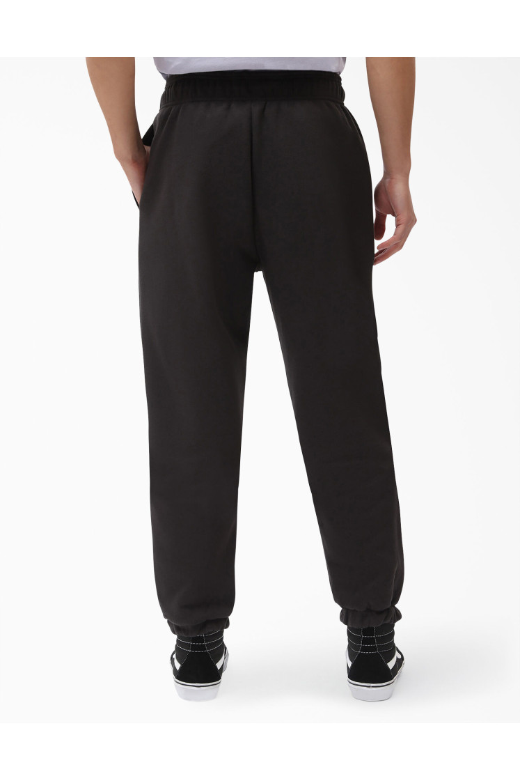 Calças Dickies Mapleton