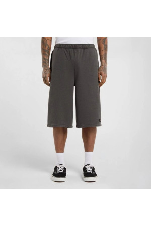 Calções Dickies Streetsboro 13