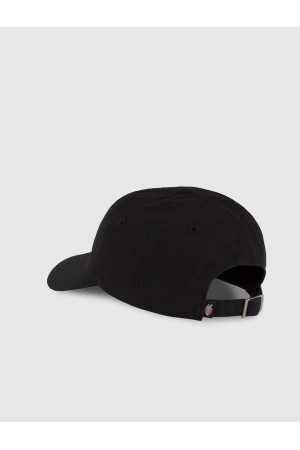 Chapéu Dickies Dad Cap