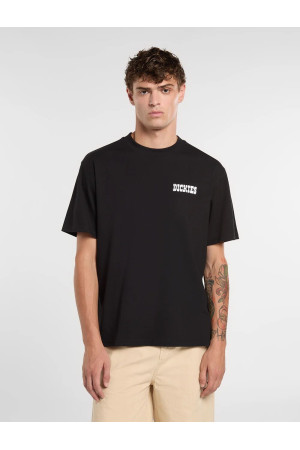 T-Shirt Dickies Plain City