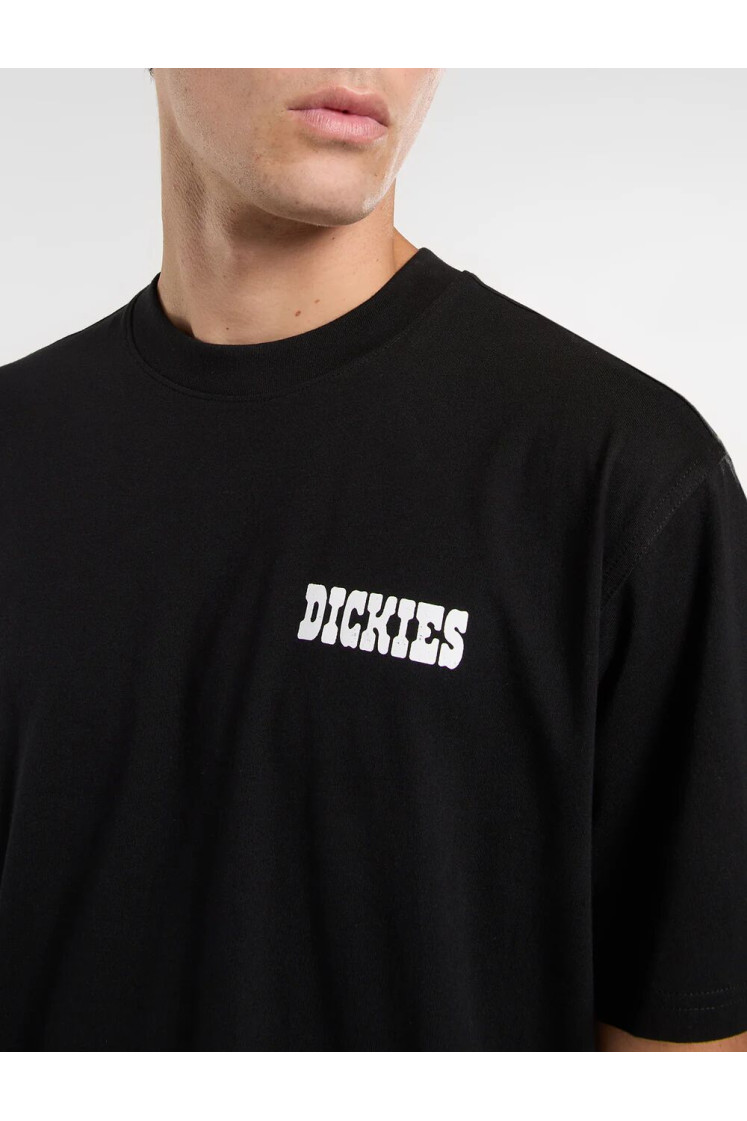 T-Shirt Dickies Plain City