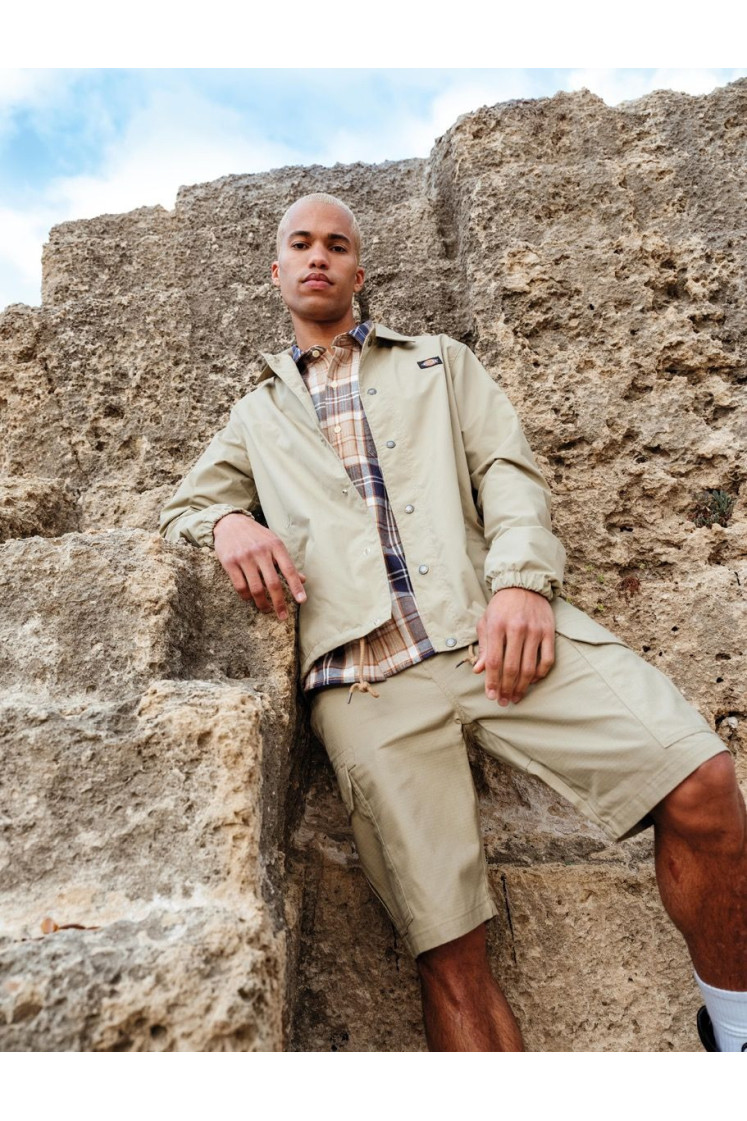 Calções Cargo Dickies Millerville